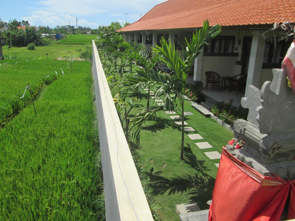 Ayu Guest House 2 Canggu Exteriör bild